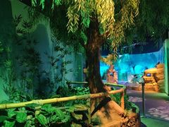 -沈阳海洋探索中心