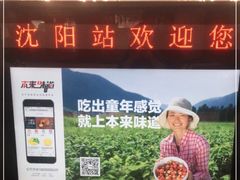 -沈阳站