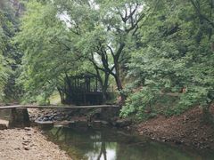 -水墨汀溪风景区