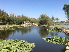 前关湿地公园-前关湿地公园