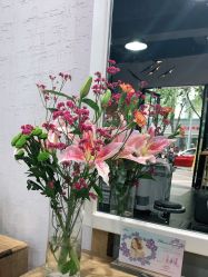 -discovery 发现 hair salon