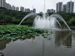 -龙头寺公园