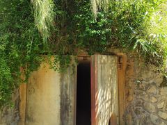 -黄埔油麻山森林公园