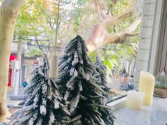 -蝶舍·MAISON PAPILLON