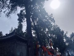-关林