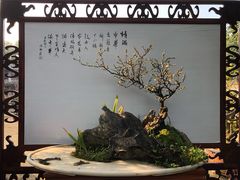 -三圣花乡旅游区