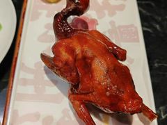 -大鸽饭(北京路店)