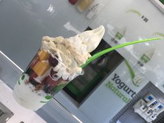 -Salud撒露欧洲冻酸奶(798艺术区店)