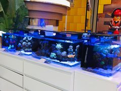 -王府井百货熙地港店