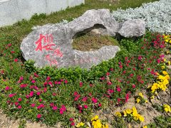 -江南大学(蠡湖校区)