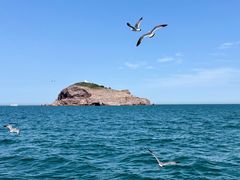 -海驴岛(荣成市)
