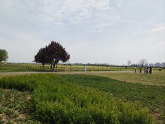 -汉长安城未央宫国家考古遗址公园