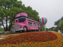 -铁山坪森林公园