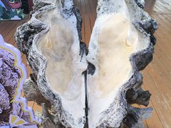 -蓝湾碧波·老字号·疍家非遗海上餐厅