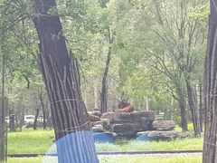 -秦皇岛野生动物园