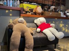 -咖法森林·咖啡  酒吧(天河店)