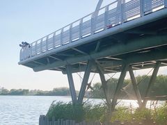 -大兴滨河森林公园