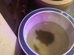 -霄汉牛三鲜湖北砂锅菜(万松园2店)