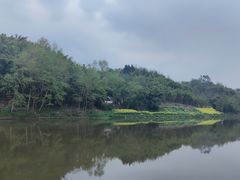 -芦沟竹海