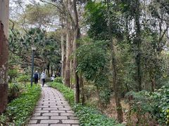 -燕晗山郊野公园