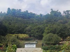 -深圳仙湖植物园