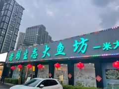 -老刘生态大鱼坊铁锅炖鱼(赛马场店)