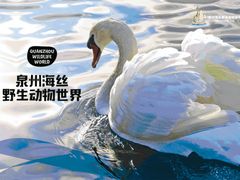 -泉州海丝野生动物世界