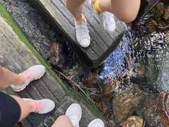 -清溪森林公园