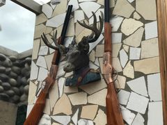 -喵屿·大理花园猫咖