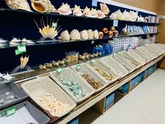 -青岛贝壳博物馆