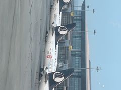 -青岛胶东国际机场