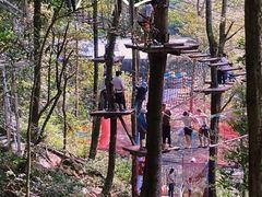 -龙岩森林水乡景区