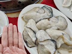 -花苑美食横琴生蚝火锅(拱北粤华路店)