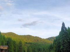 -武陵山森林公园