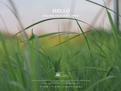 -春花秋色城市公园