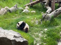 -宁波野生动物园