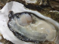 -港畔赶海蒸汽海鲜烧烤自助(仙螺岛店)