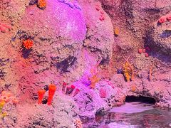 -沈阳海洋探索中心