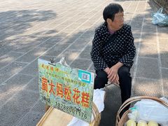-蔺大妈松花糕