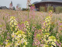 -中国天府农业博览园