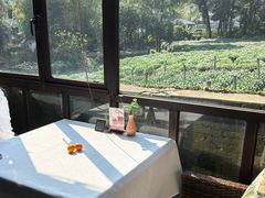 -野蔓果·山野菜(西湖景区·龙井茶田店)