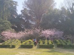 -南京林业大学-图书馆