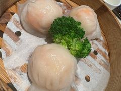 -新雅粤菜馆(南京东路店)