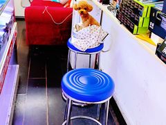-喜狗宠物生活馆(岳州路店)