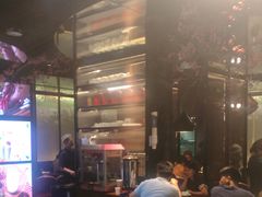 -老板恋上鱼(高新万达店)
