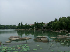 android_upload_pic-苏州金鸡湖大酒店