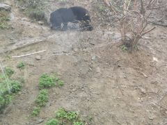 -栾川竹海野生动物园
