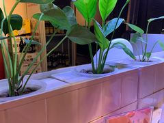 -望京一号·重庆江湖菜(工体店)