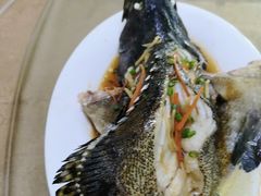 清蒸石斑鱼-板桥海鲜广场(文明东店)