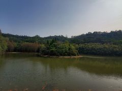 -滴水岩森林公园